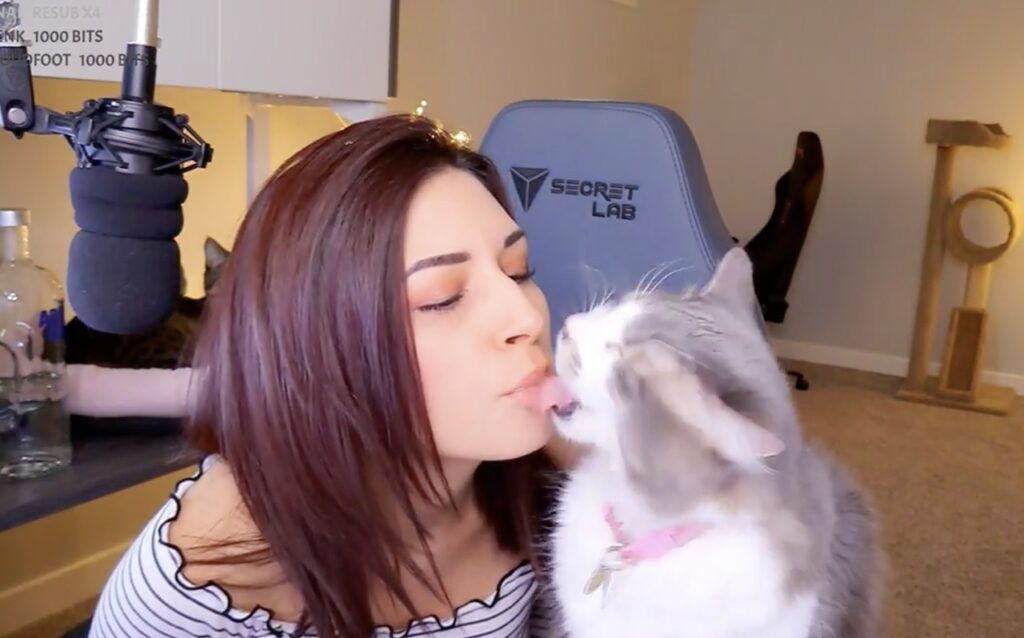 Internet oburzony zachowaniem streamerki wobec kota. Fundowała mu pojenie wódką, rzuty i inne „atrakcje”