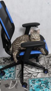 Vertagear Triigger 275 Blue