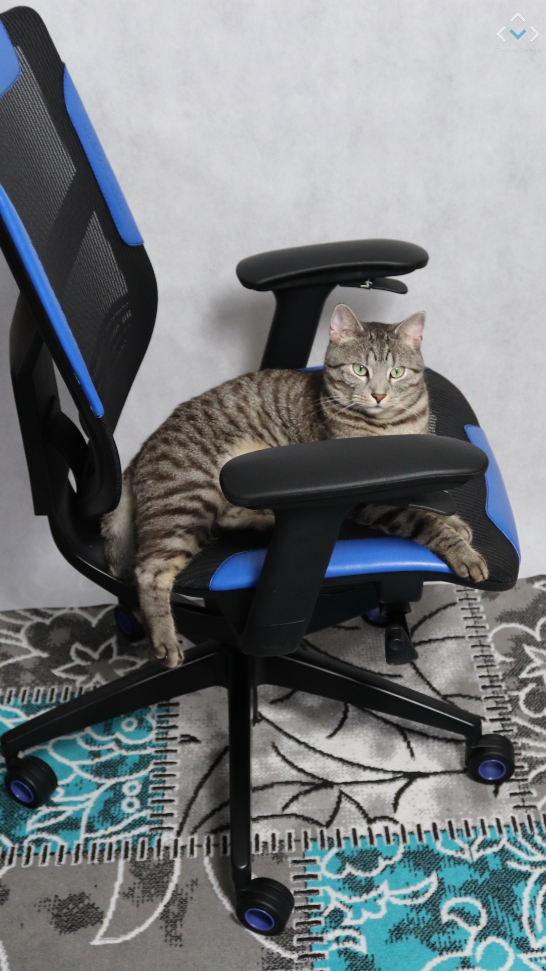 Vertagear Triigger 275 Blue