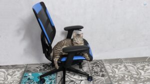 Vertagear Triigger 275 Blue