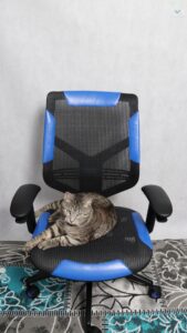 Vertagear Triigger 275 Blue
