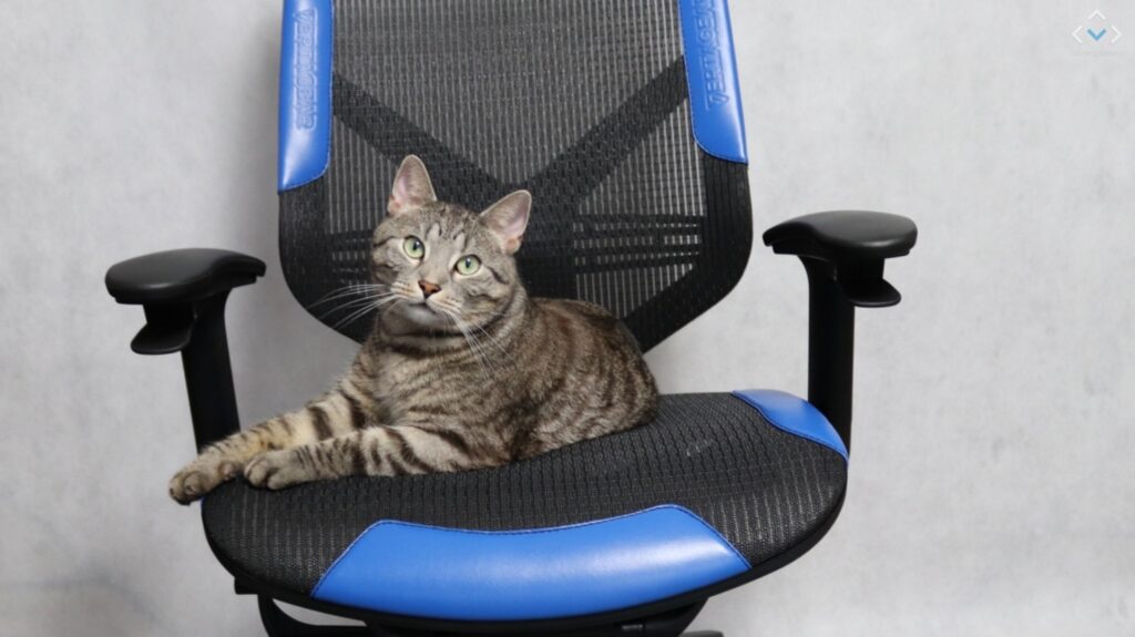 Vertagear Triigger Line 275 Blue – recenzja gamingowego fotela