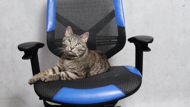 Vertagear Triigger Line 275 Blue – recenzja gamingowego fotela