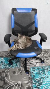 Vertagear Triigger 275 Blue