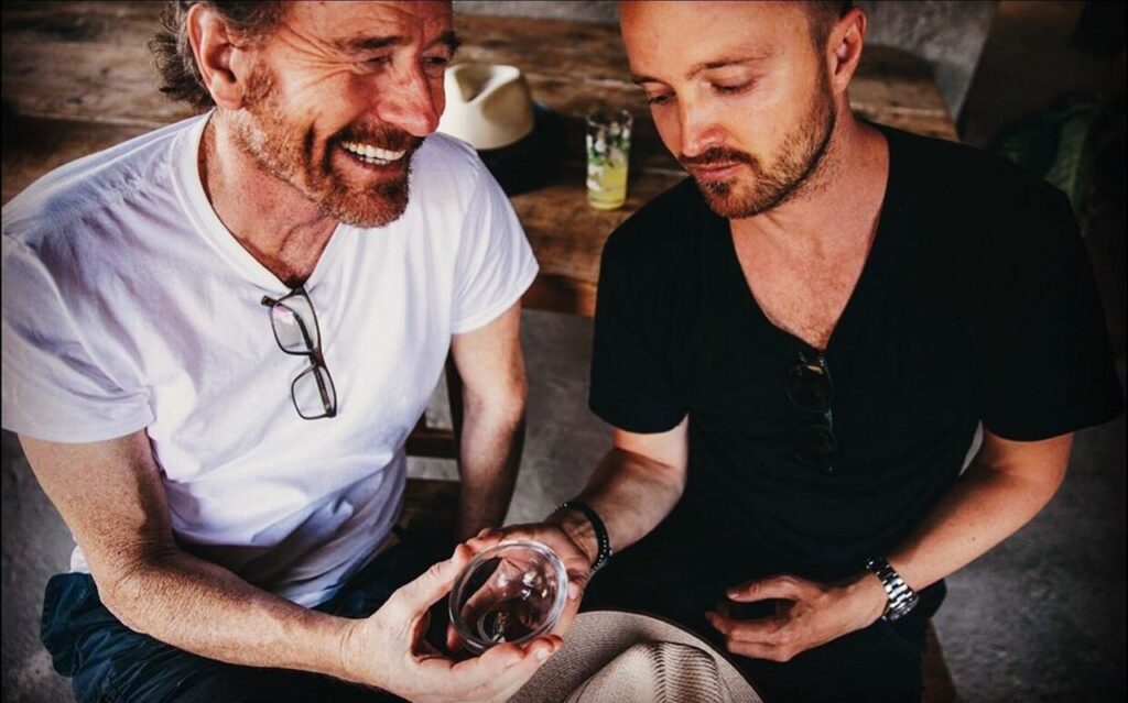 Film Breaking Bad? Nie, Bryan Cranston i Aaron Paul zapowiedzieli coś innego