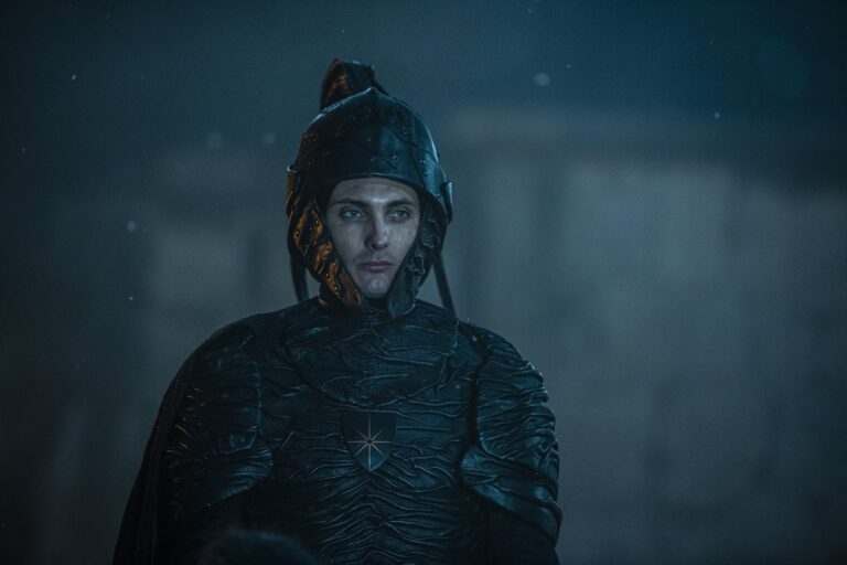Autorzy netflixowego Wiedźmina wycofują się z projektu zbroi Nilfgaardu