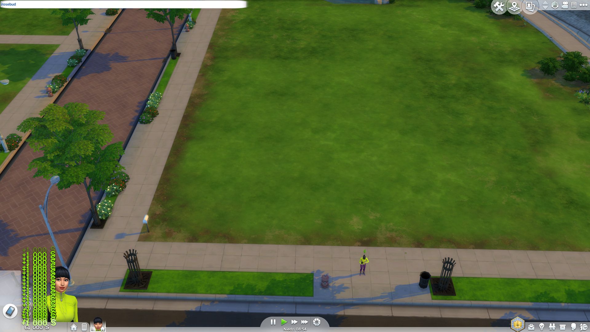 The Sims 4 rosebud