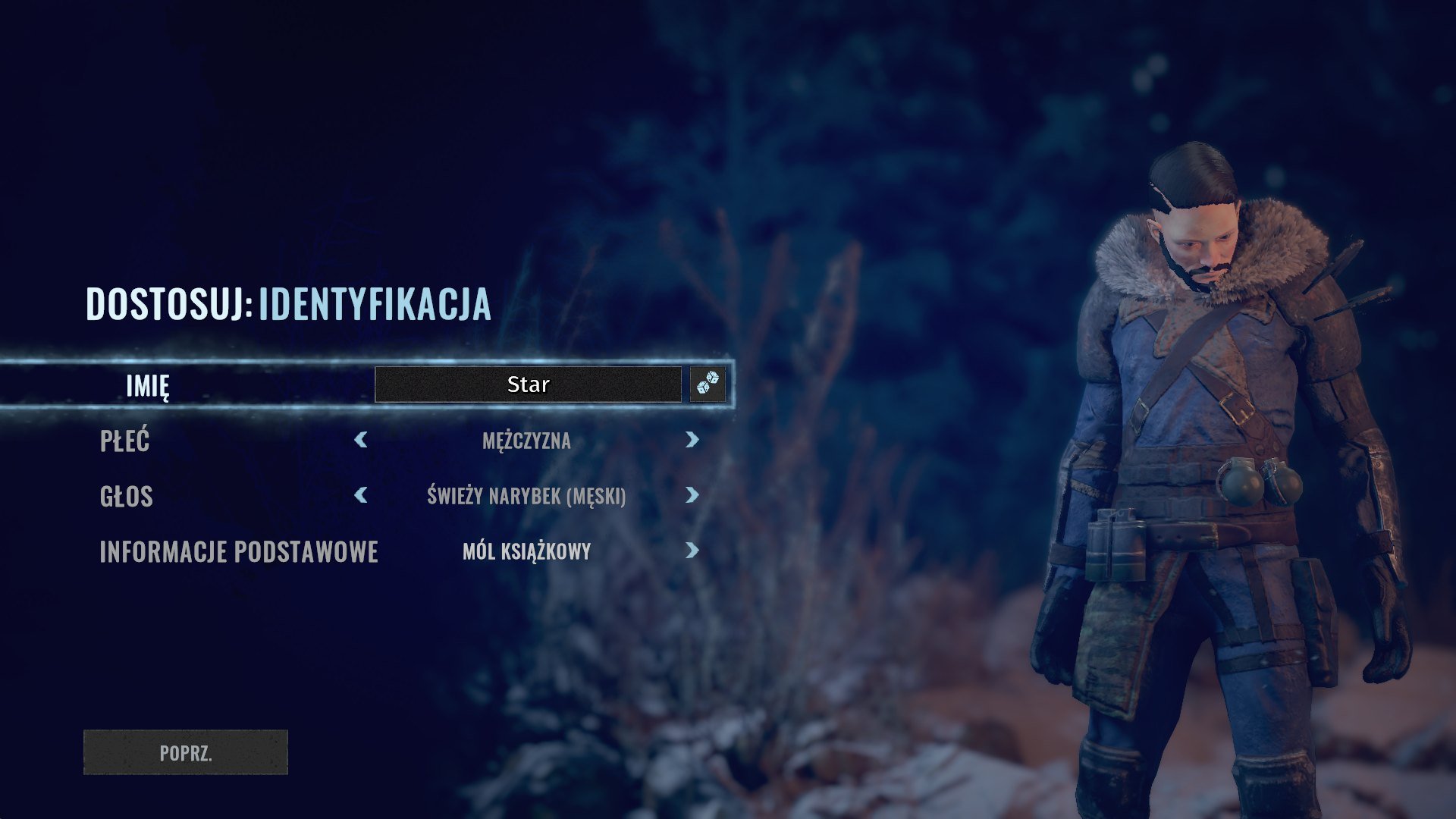 Wasteland 3