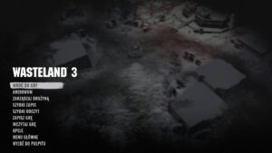 Wasteland 3