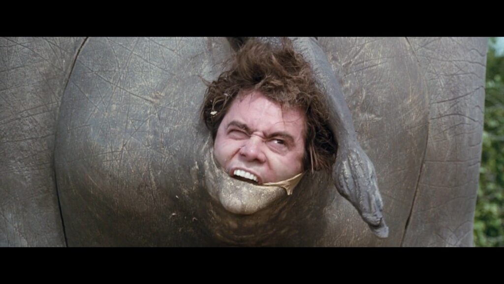 Ace Ventura 3 – Jim Carrey po raz trzeci zagra psiego detektywa?
