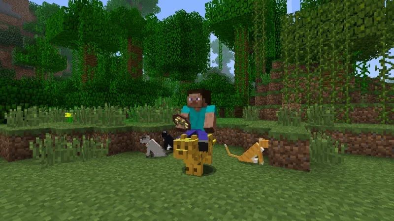 Minecraft Mod Animal Bikes