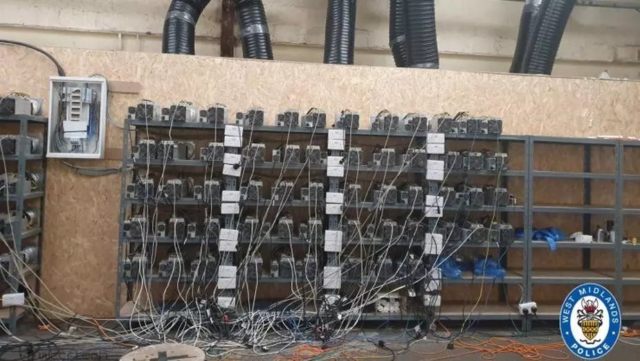 Plantacja marihuany okazała się nielegalną kopalnią kryptowalut