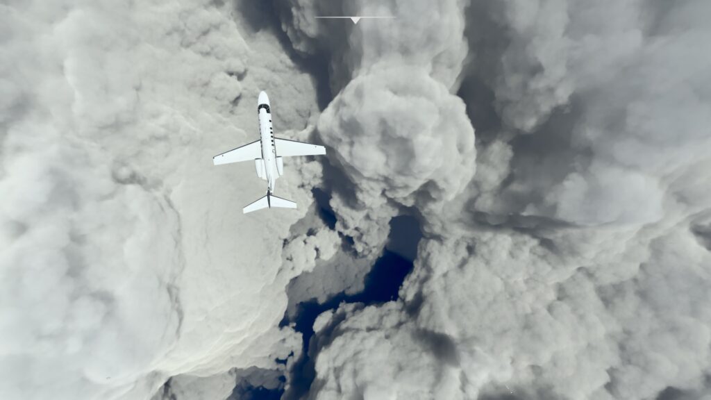 Microsoft Flight Simulator Ida 1