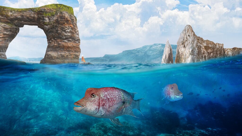 Fishing Clash