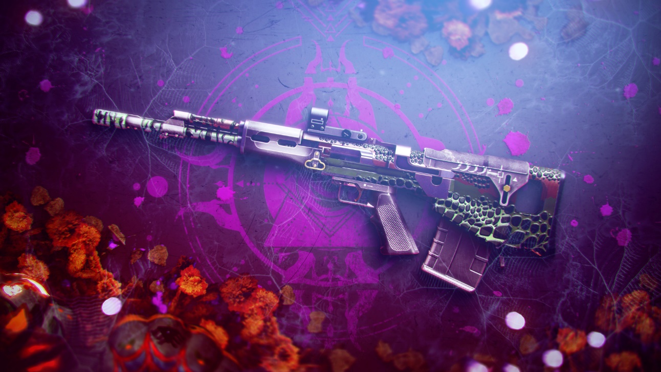 destiny 2 - gun