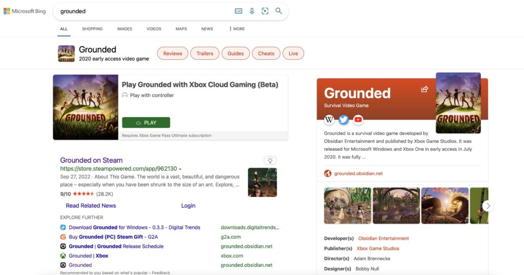 Gry Microsoftu odpalisz w wyszukiwarce Bing