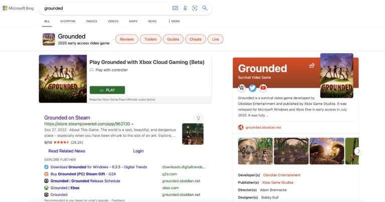 Gry Microsoftu odpalisz w wyszukiwarce Bing