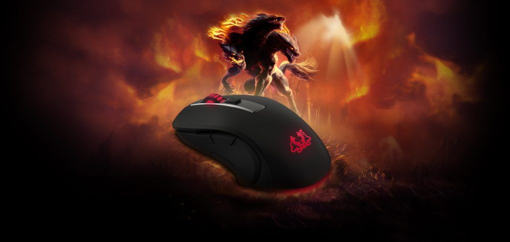 Asus wypuścił na żer nowego gryzonia co się zowie Cerberus Fortus