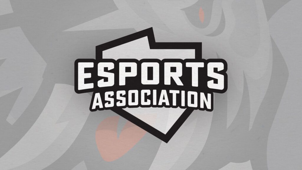 Startują zgłoszenia do Edu Esport Cup #3 by MSI