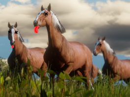 Red Dead Online pełne martwych koni Red Dead Online