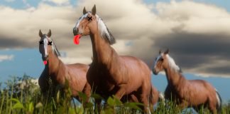 Red Dead Online dostało olbrzymią aktualizację. W niej m.in. nowa misja Red Dead Online