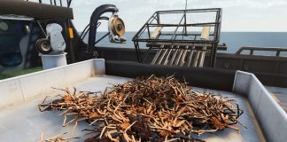 Deadliest Catch: The Game – symulator poławiacza krabów na podstawie serialu Discovery