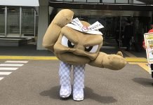 Ambasadorem Turystyki w Japonii został Pokemon