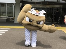 Ambasadorem Turystyki w Japonii został Pokemon