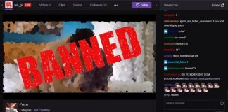 Twitch – ponad 5 tys. osób oglądało porno na streamie