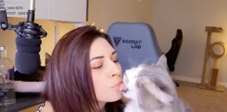 Internet oburzony zachowaniem streamerki wobec kota. Fundowała mu pojenie wódką, rzuty i inne „atrakcje” Alinity rzut kotem