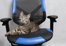 Vertagear Triigger Line 275 Blue – recenzja gamingowego fotela Vertagear Triigger 275 Blue