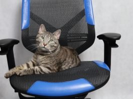 Vertagear Triigger Line 275 Blue – recenzja gamingowego fotela Vertagear Triigger 275 Blue