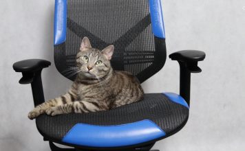 Vertagear Triigger Line 275 Blue – recenzja gamingowego fotela Vertagear Triigger 275 Blue