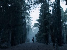 Netflix – serial Wiedźmin nie jest i nie będzie adaptacją gier Wiedźmin serial Netflix