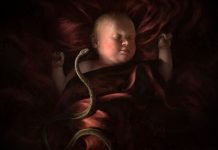 Crusader Kings 3 już w 2020. Zobacz pierwszy zwiastun!