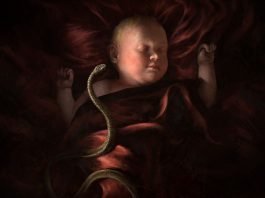 Crusader Kings 3 już w 2020. Zobacz pierwszy zwiastun!