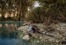 Harry Potter zamienił niewielki projekt na Kickstarterze w ogromny sukces Day of Dragons