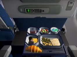 Airplane Mode – symulator pasażera samolotu bije na głowę Desert Bus