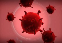 Plague Inc. – twórcy przestrzegają graczy, aby nie czerpali wiedzy na temat koronawirusa z gry Plague Inc.