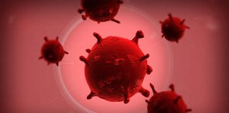 Plague Inc. – twórcy przestrzegają graczy, aby nie czerpali wiedzy na temat koronawirusa z gry Plague Inc.