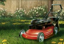 Skoś ogródek nie wychodząc z domu. Oto polski symulator koszenia trawników