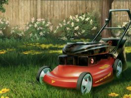 Skoś ogródek nie wychodząc z domu. Oto polski symulator koszenia trawników