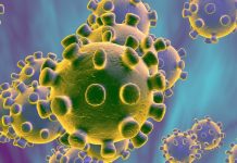 Kolejne imprezy odwołane przez koronawirus