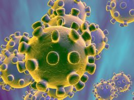 Kolejne imprezy odwołane przez koronawirus