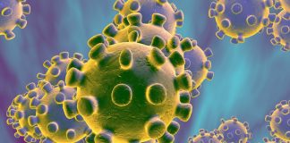 Kolejne imprezy odwołane przez koronawirus