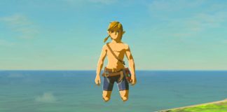 Youtuber ukończył The Legend of Zelda: Breath of the Wild bez chodzenia The Legend of Zelda: Breath of the Wild