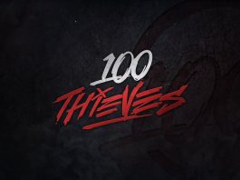 100 Thieves wypuszcza własny zestaw ubrań w Animal Crossing 100 Thieves