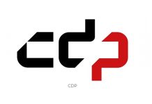 CDP ogłosiło upadłość CDP