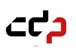 CDP ogłosiło upadłość CDP