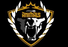 Cyberpunk 2077 – poznaliśmy kolejne frakcje Night City Cyberpunk 2077 Animals